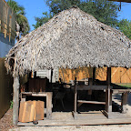 IMG_3447.JPG