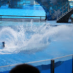 IMG_4037.JPG