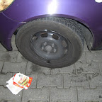 CIMG0004.JPG