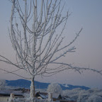DSC08933.JPG