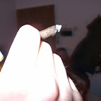 03170044.JPG