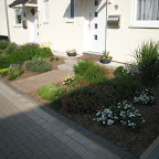Vorgarten Mai 2010