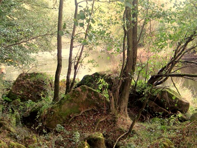 Severn Way Walk 171009 015