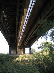 Severn Way Stage 19 210910 037