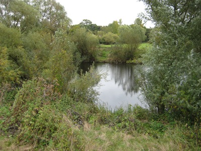 Severn Way Walk Stage 19b 181010 033 Severn Way Walk Stage 19b 181010 033