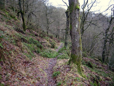 Heptonstall Circular 01-01-17 Heptonstall Circular 01-01-17