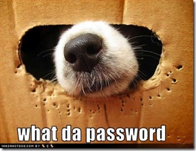 funny-dog-pictures-da-password
