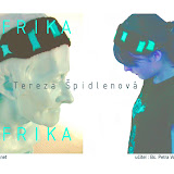 www.ssuo.net 07/08 MN1 - doplněk, inspirační zdroj AFRIKA, výtvarná příprava BC.Petra Vodrážková