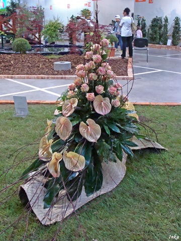 [KopiaDSC051012.jpg]