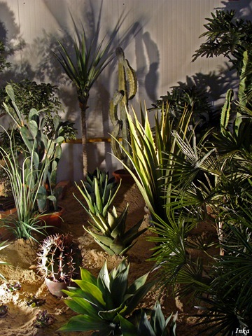 [KopiaDSC051762.jpg]