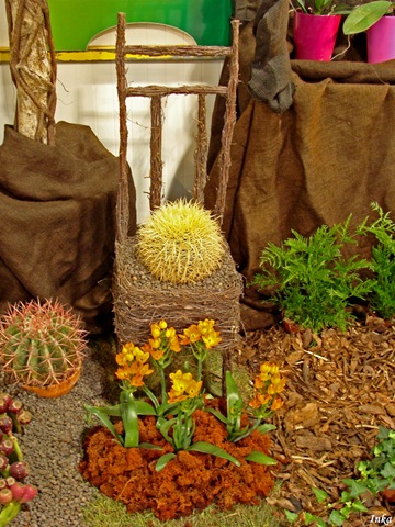 [KopiaDSC050232.jpg]