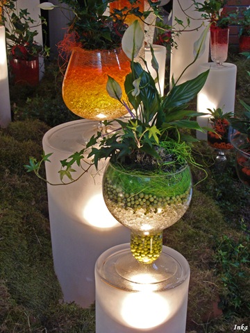 [Kopia DSC05135+[2].jpg]