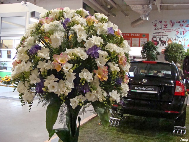 [KopiaDSC050542.jpg]