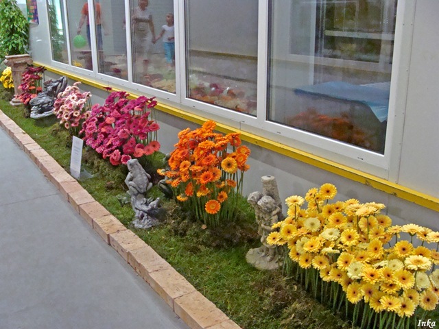 [Kopia DSC05072+[2].jpg]