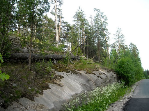 Kuva