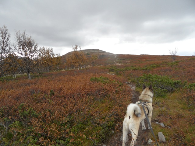 [17.09 øyvassrunden 009[3].jpg]