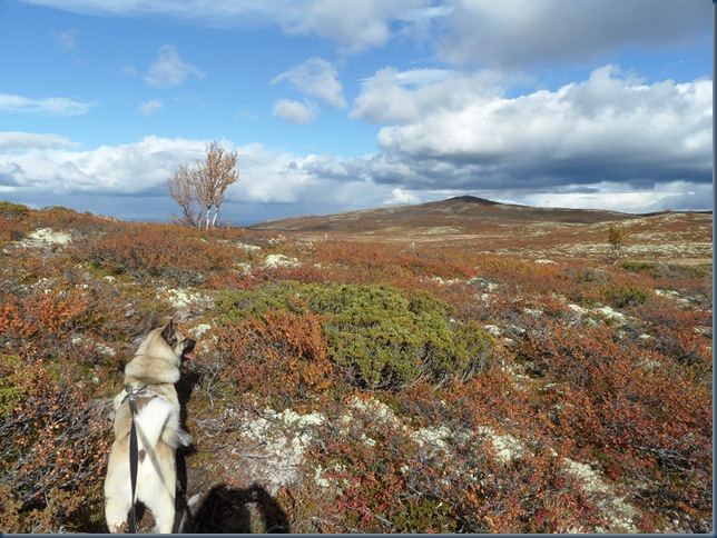 17.09 øyvassrunden 022