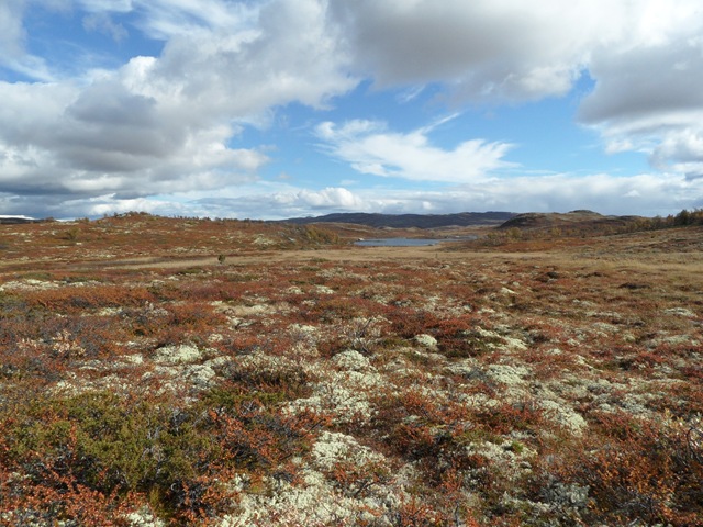[17.09 øyvassrunden 021[3].jpg]