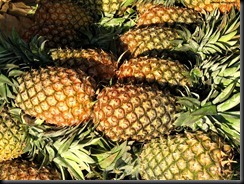 pineapple-1018
