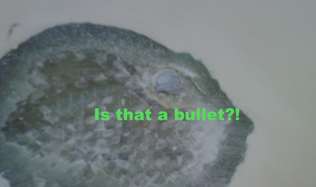 is%20that%20a%20bullet.jpg
