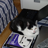 2009-08-09 Zafir
