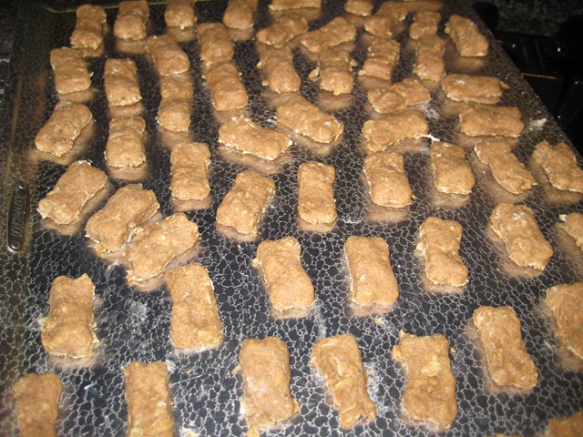 [IMG_61524.jpg]