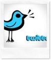 twitter-icon