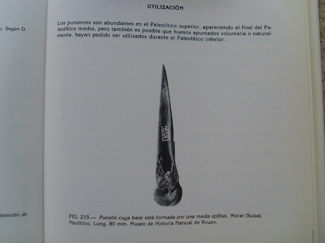 Un hallazgo menor (algo pequeñito) SL372237