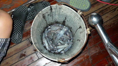 Fishing for breakfast!