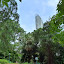 Kowloon park