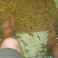 Fish massage!
