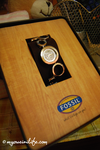 [FOSSIL2[7].png]