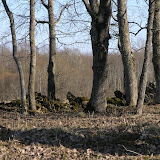P1010271.JPG