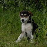 ARV_9624.JPG
