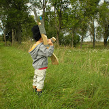 DSCN2339.jpg