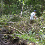 DSCN4346.JPG