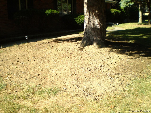 [P92801059.jpg]