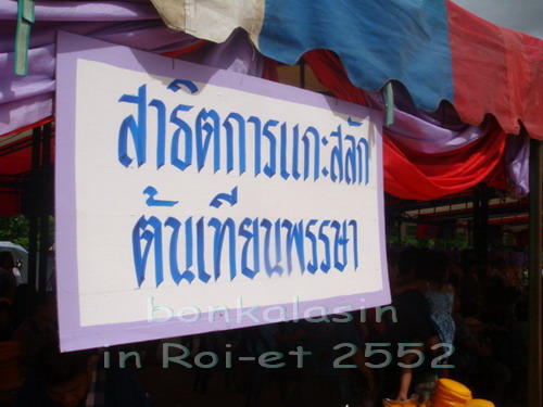 bonkalasin