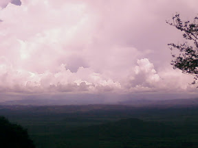 PIC-0036.jpg