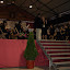 P4055045.JPG