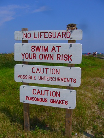 [P1200781[5].jpg]