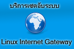 Linux Internet Gateway