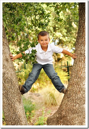Grant in Tree