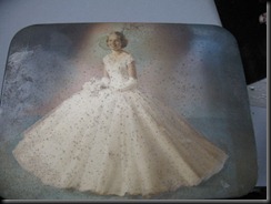 IMG_3655 IMG_3655