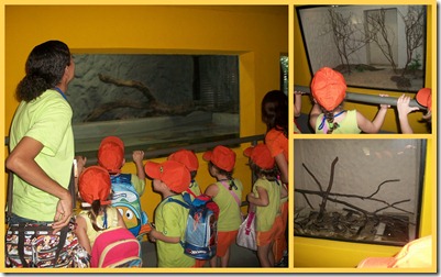 SAÍDA PEDAGÓGICA- ZOO2 SAÍDA PEDAGÓGICA- ZOO2