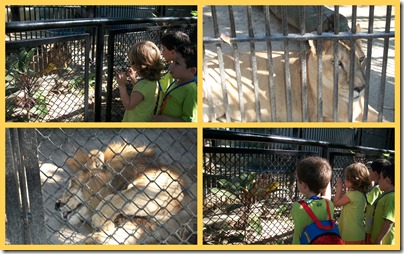 SAÍDA PEDAGÓGICA- ZOO14 SAÍDA PEDAGÓGICA- ZOO14
