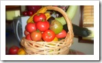 Fruit Basket_091009 002