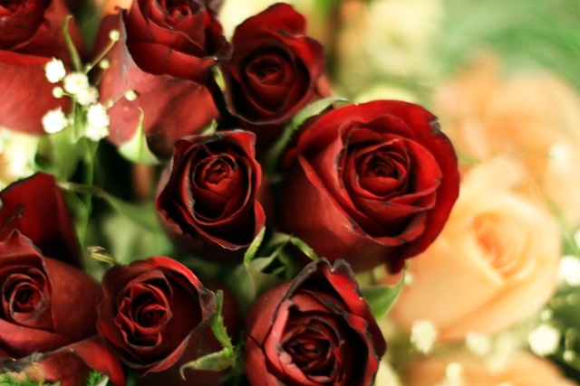 [flowers2[4].jpg]