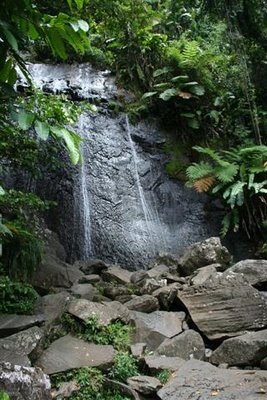 [IMG_5014_(Small)[2].jpg]