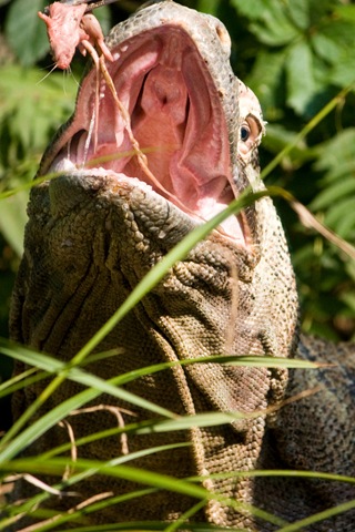[zoo d[3].jpg]